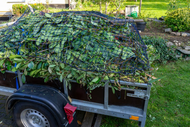 Best Estate Cleanout  in Greenfield, MN
